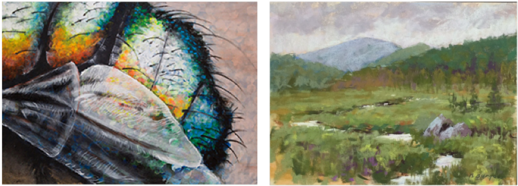 New Artists 2017 - Painting (800x320), Png Download