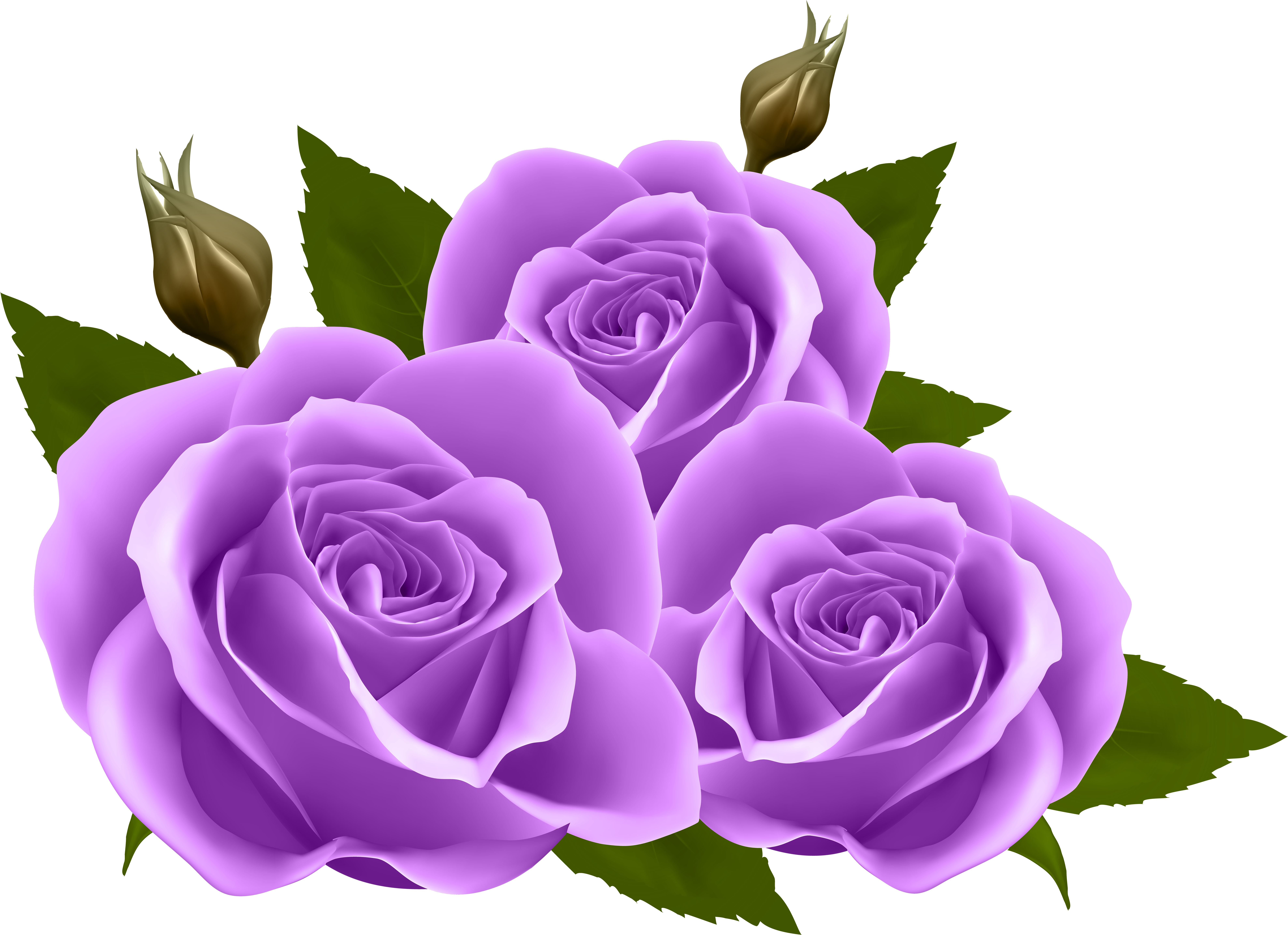 Purple Rose Clip Art At Clker - Purple Roses Png (8000x5803), Png Download