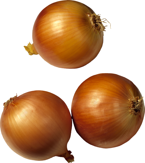 Onion Png Free Download - Onion Clipart No Background (600x672), Png Download