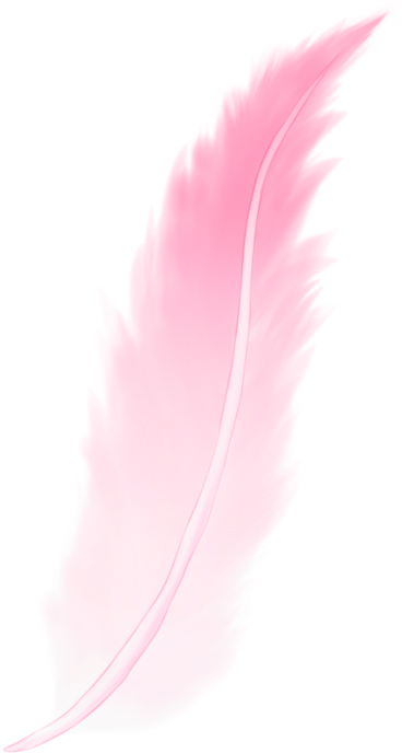 Pink Feather Png - Feather (400x744), Png Download