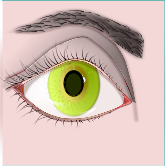 Dazhui - Contact Lens (566x800), Png Download
