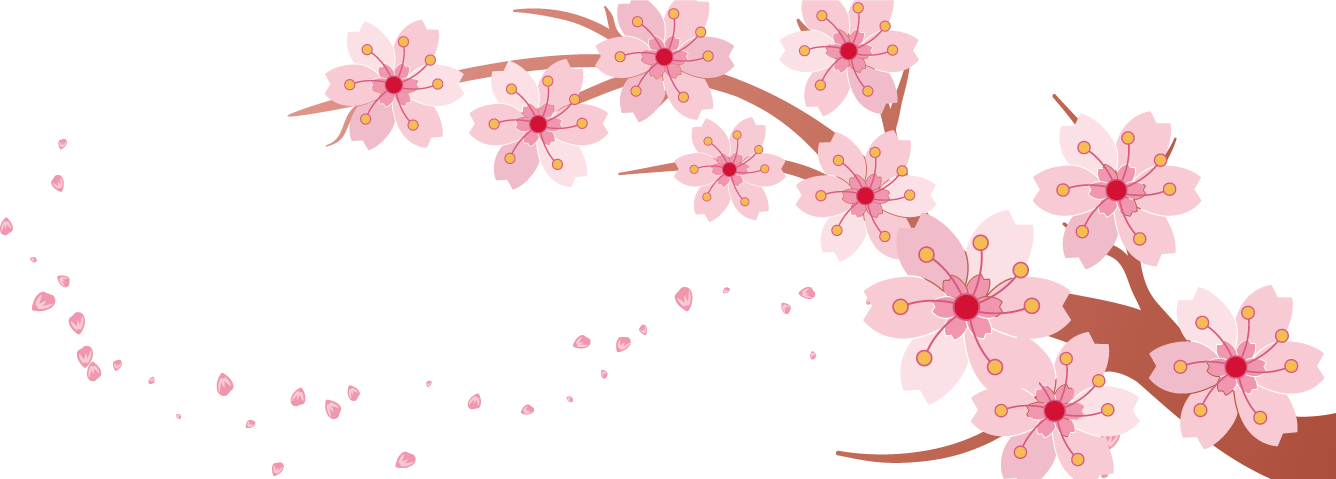 Cherry Blossom Banner - Cherry Blossoms Transparent Background (1336x479), Png Download