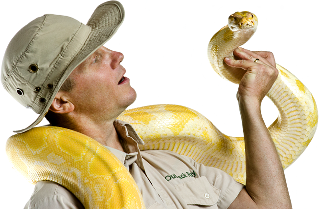 Ray Main - Outback Ray (654x428), Png Download