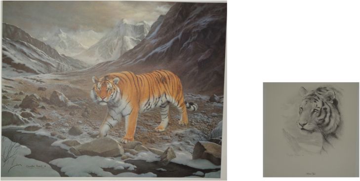 Charles Frace ,sibirien Tiger - Charles Frace - Siberian Tiger (729x368), Png Download