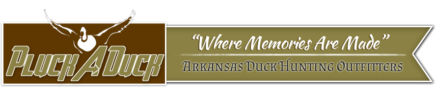 Contact Us - Parallel (888x179), Png Download