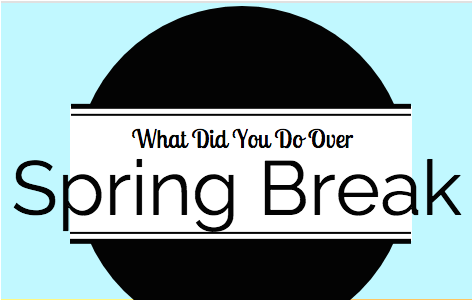 Breckyn Martens - Did You Do Over Spring Break (817x299), Png Download