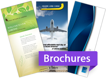 "creativity Is Our Team Strength - Brochures Online (431x285), Png Download