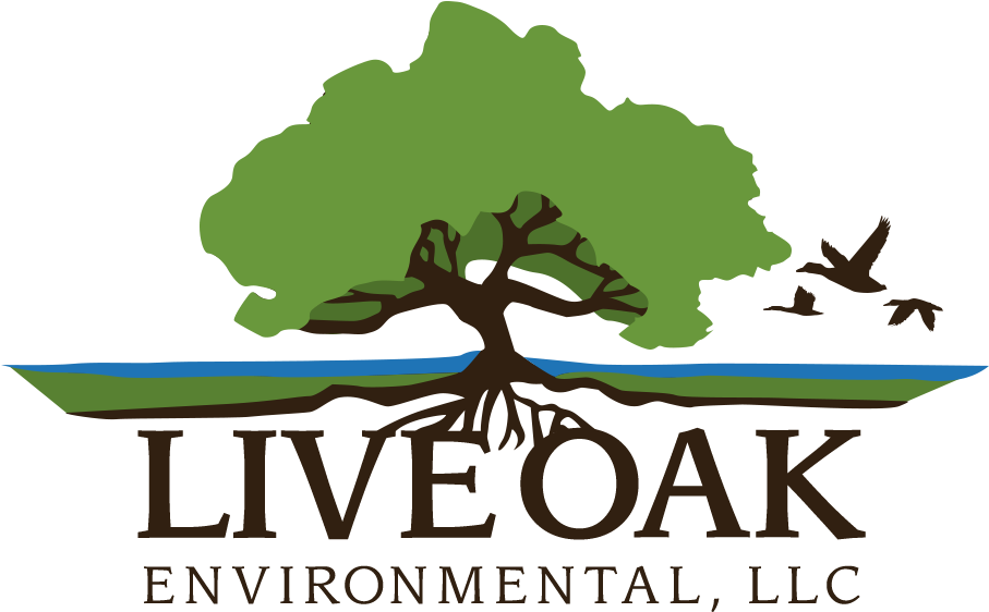 Live Oak Recycling Schedule 2025 Live Oak Recycling Schedule 2025