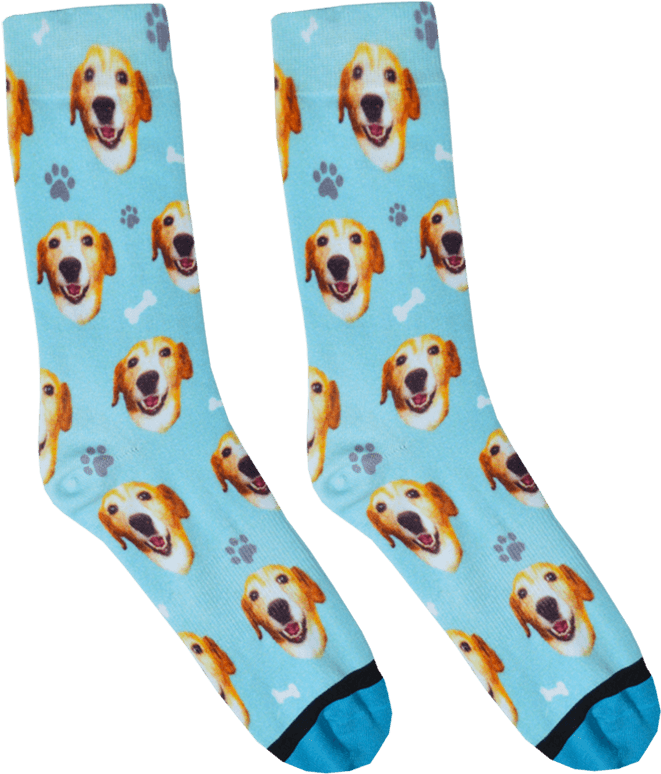 Custom Dog Socks - Socks With Dogs Face (800x800), Png Download