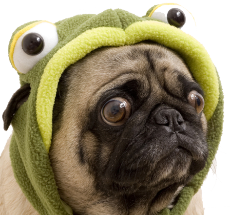Join The Doghouse, & Enjoy Our Fabulous Emoji - Sad Dogs In Costumes (474x440), Png Download