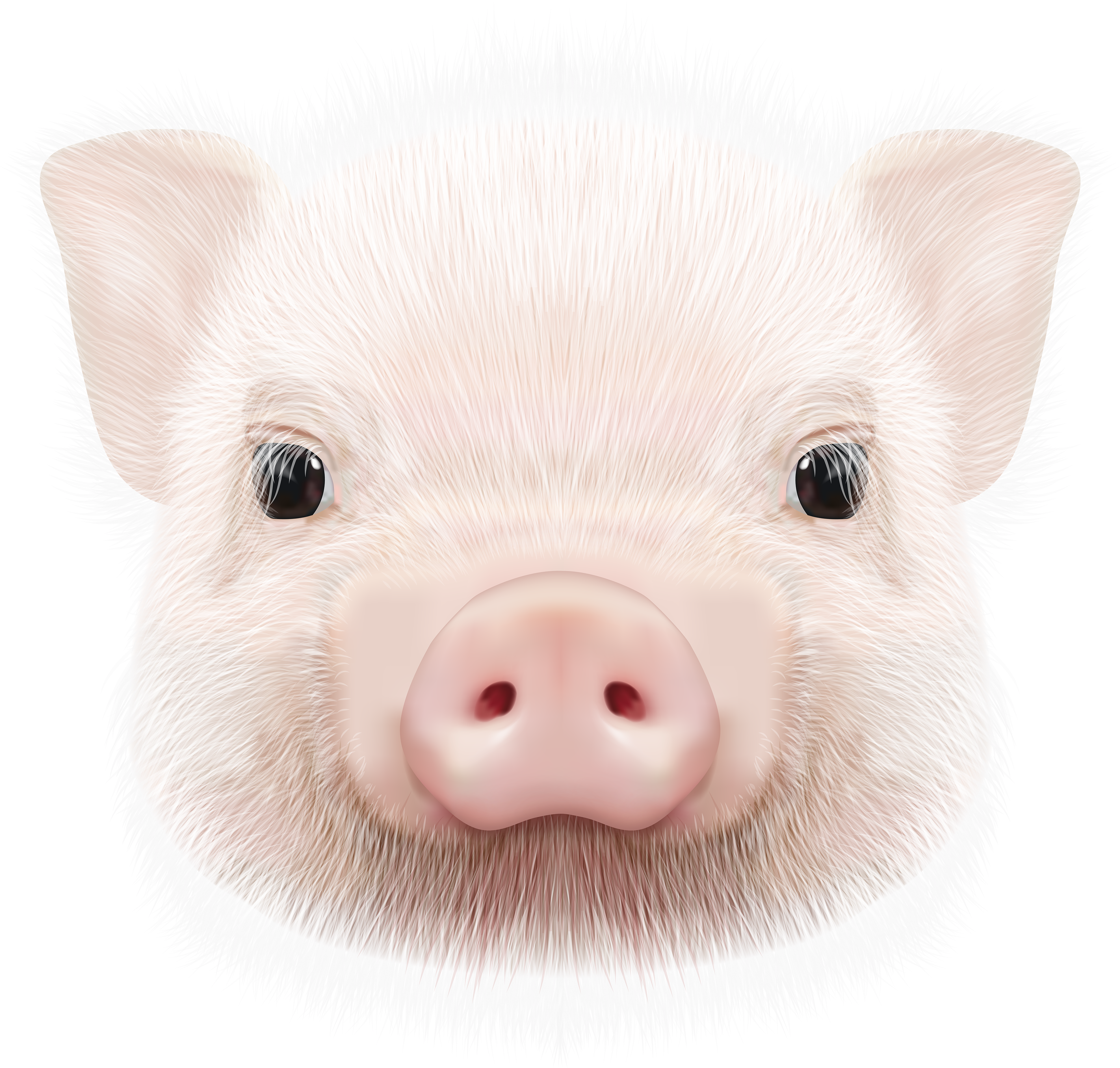 Animal Head Png (4000x3816), Png Download