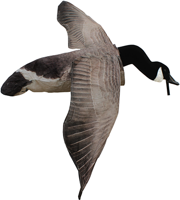 Deck Boss Flying Canada Goose Decoy - White Rock Decoys Deck Boss Flying Canada Goose Decoy (379x413), Png Download