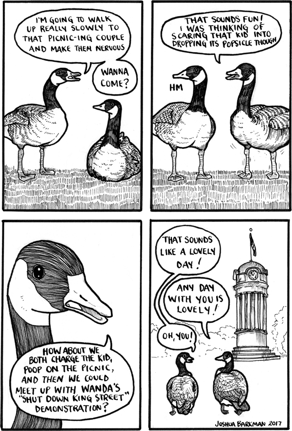 First - Geese Comic False Knees (600x884), Png Download