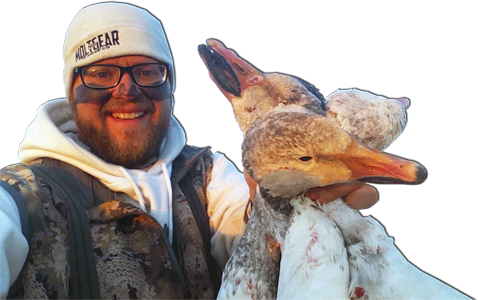 Spring Snow Goose Hunting - Hunting (478x300), Png Download