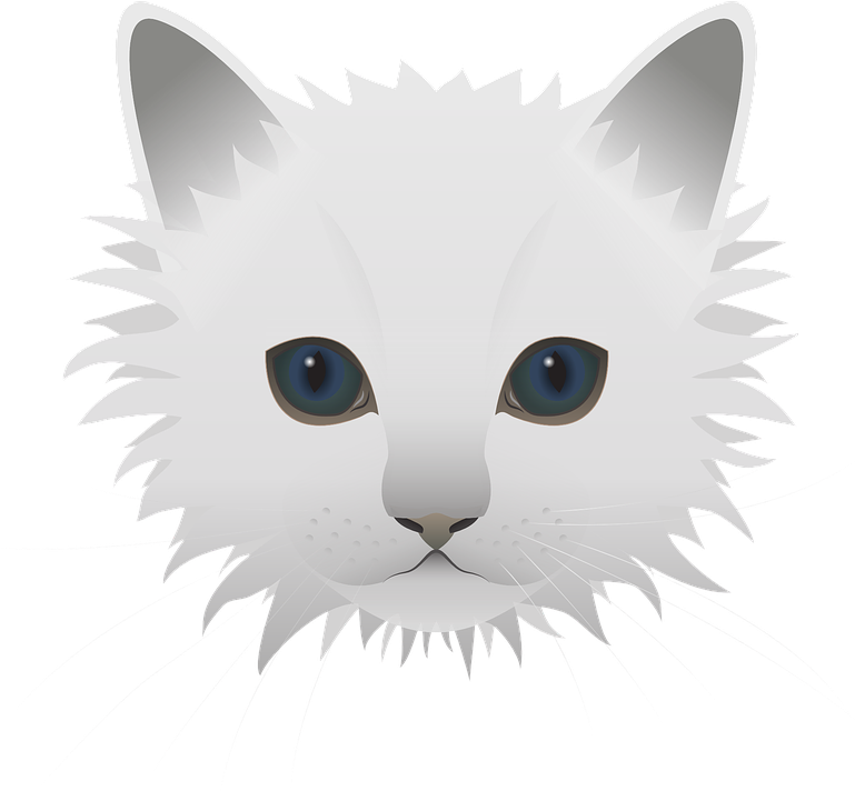 Free Image On Pixabay - Blaue Augen Der Miezekatze Große Wanduhr (790x720), Png Download