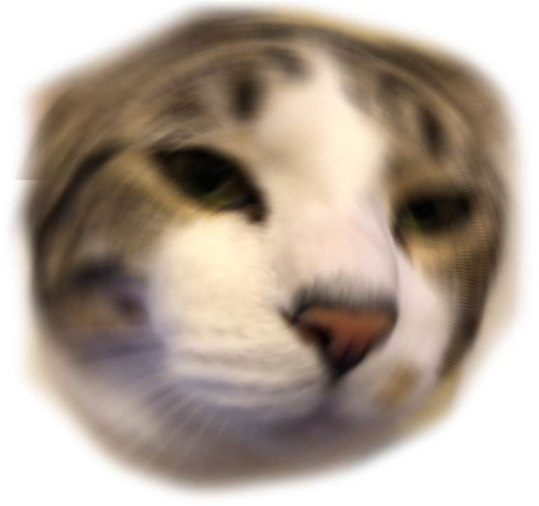 Other Emoji Discord Emoji Png Anime Cat Discord Emoji (1080x810), Png Download