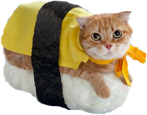 Catmoji Kitty Emoji Keyboard And Imessage Stickers - Halloween Cats (618x618), Png Download