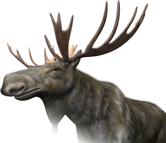 Moose Png Image - Moose Png (547x472), Png Download