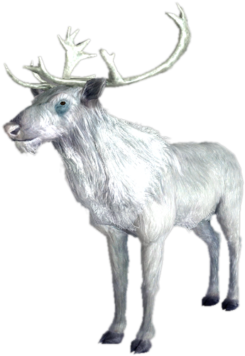 White Stag - Skyrim White Deer (375x500), Png Download