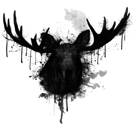 Click And Drag To Re-position The Image, If Desired - Nicklas Gustafsson (452x700), Png Download