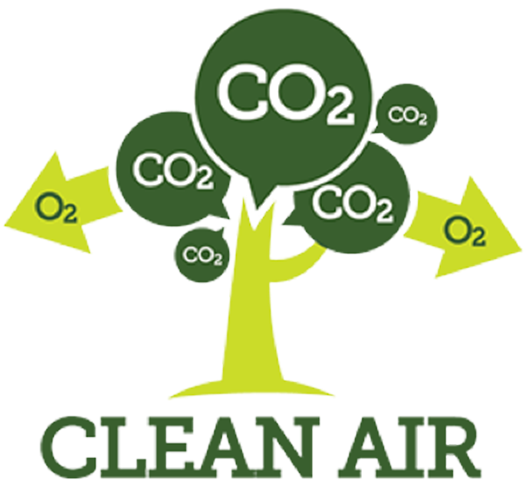 Studies Show That Trees Absorb Large Amounts Of Potentially (600x500), Png Download