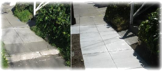 Repair Of Sidewalk Defects That Are Not Caused By A - Walkway (540x237), Png Download