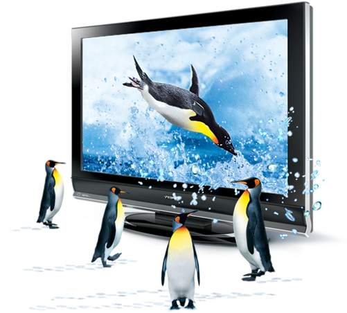3d - Penguins - Penguins (500x500), Png Download