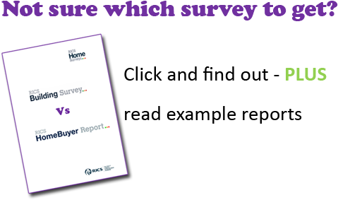 Freshman Quotes (500x316), Png Download