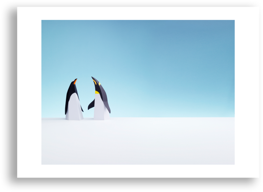 Paper Penguins (1000x1000), Png Download