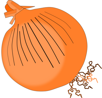 Calabaza Vegetarian Cuisine Red Onion Vegetable White - Onion Clip Art Png (355x340), Png Download