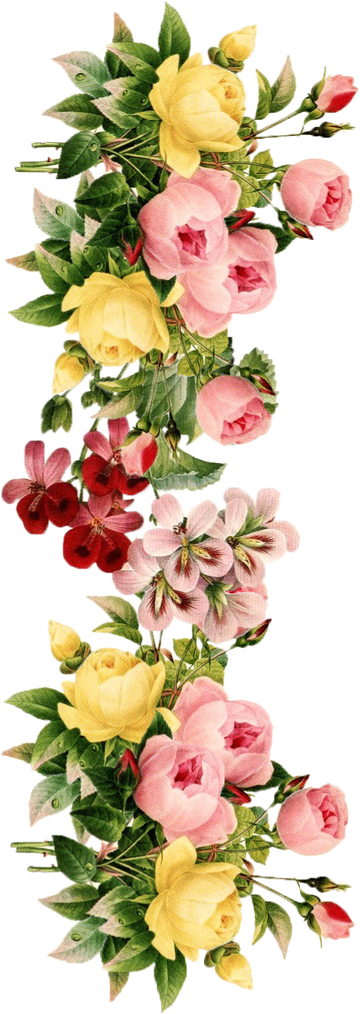 56 Flower Pictures, Flower Stencils, Watercolor Pictures, - Collected Poems Of Emily Dickinson [book] (550x1548), Png Download