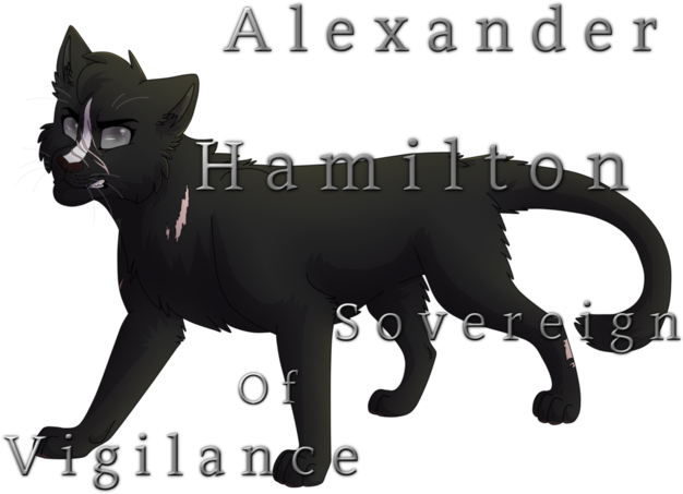Alexander Hamilton Fiftkh Signature Finished - Big Cats (640x480), Png Download