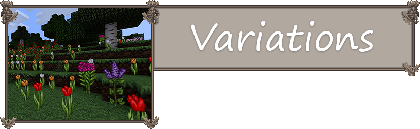 Customizer - African Daisy (827x254), Png Download