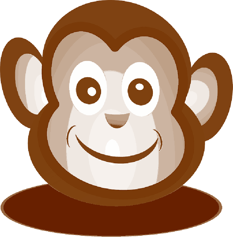 Mb Image/png - Monkey Face Shower Curtain (800x813), Png Download
