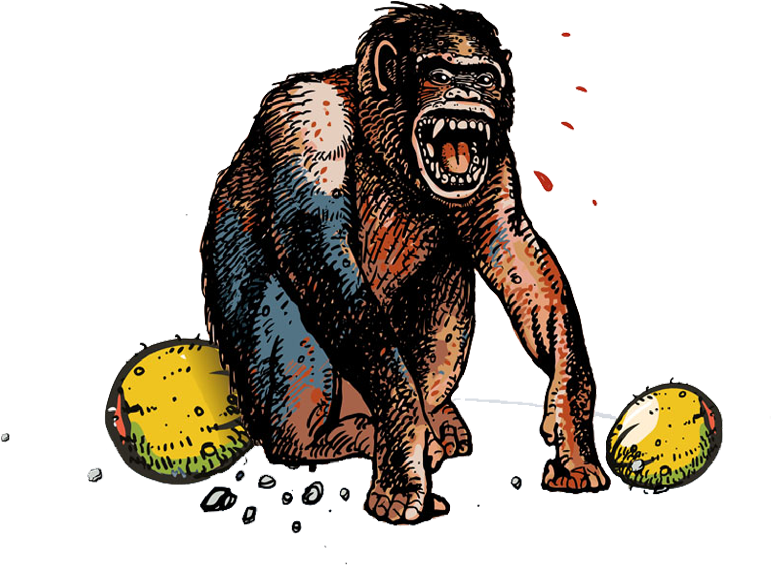 Gorilla Monkey Common Chimpanzee (2362x2362), Png Download