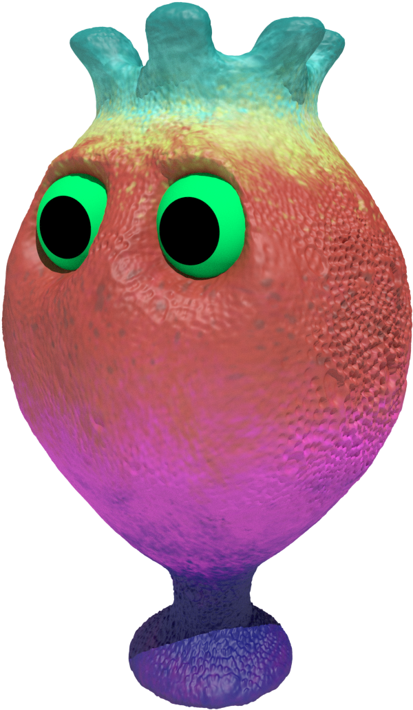 Money Bank - Fish (1080x1080), Png Download