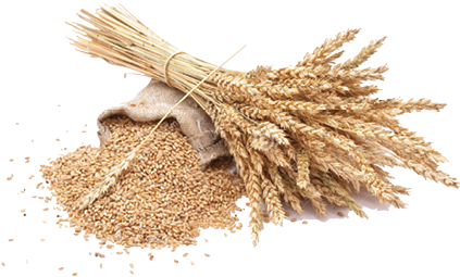 La Otra Opción Pasa Por El Empleo De Cantidades Mucho - Grain Png (456x277), Png Download