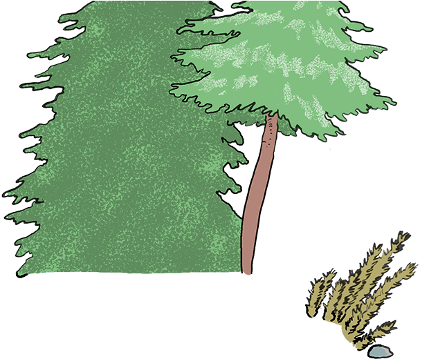 The Paleozoic - Christmas Tree (635x536), Png Download
