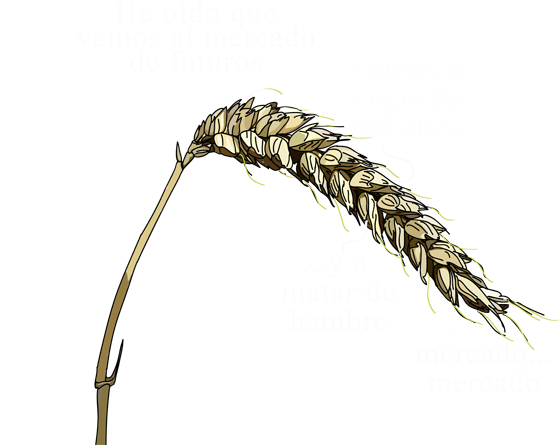 Metafísica Del Trigo - Sweet Grass (569x458), Png Download