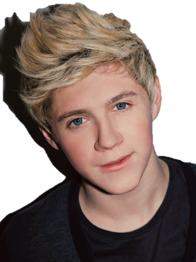 James Horan - One Direction Niall 2014 (400x534), Png Download