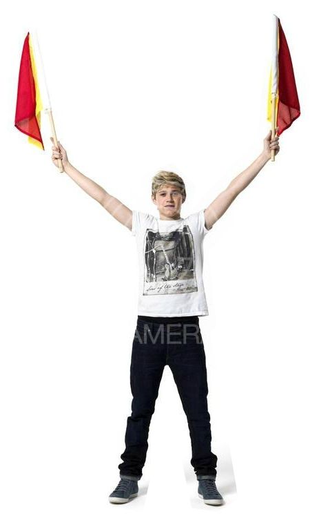 ¡niall Horan Totalmente Formato Png - Glider (600x800), Png Download