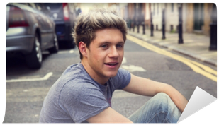 Niall Horan (400x400), Png Download