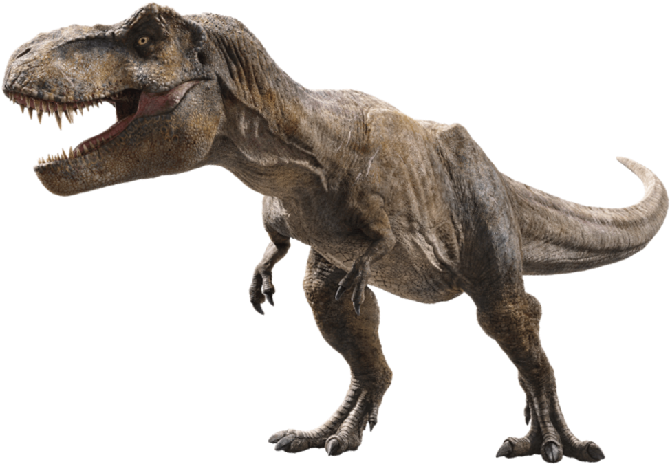 Jurassic World Fallen Kingdom Tyrannosaurus V3 By Sonichedgehog2-dcb00cn - Jurassic World Fallen Kingdom Dinosaurs Png (1019x784), Png Download