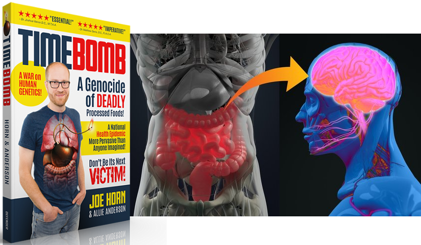 If You Had To Guess The Organ That Has Undue Influence - Pit Of The Gut (851x496), Png Download