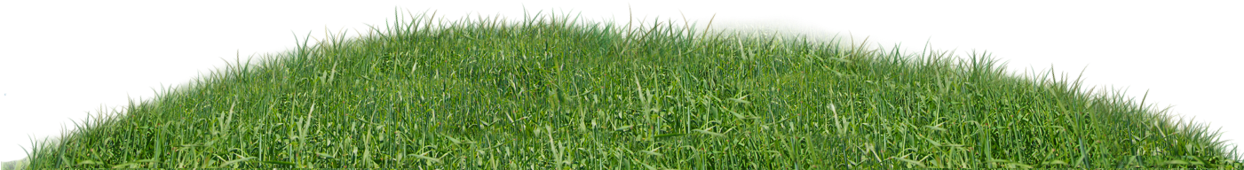 Original Size Is 1400 × 602 Pixels - Pasto Png (1400x602), Png Download