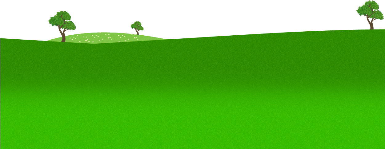Grass (1250x647), Png Download