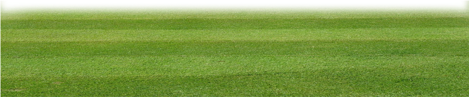 Pasto By Bauti Carp - Lawn (960x227), Png Download