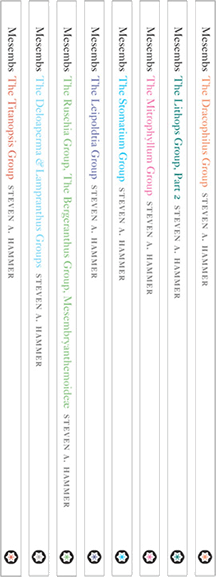 Proposed Spine Design For The Mesemb Book Series - Design Book Spines (216x577), Png Download