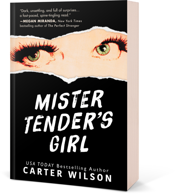 B5a8a02c Mistertendersgirl 3d 0gd0i10gd0i1000000 - Mister Tender's Girl By Carter Wilson (589x649), Png Download