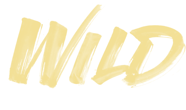 Visit - Troye Sivan Wild Album Art (640x360), Png Download